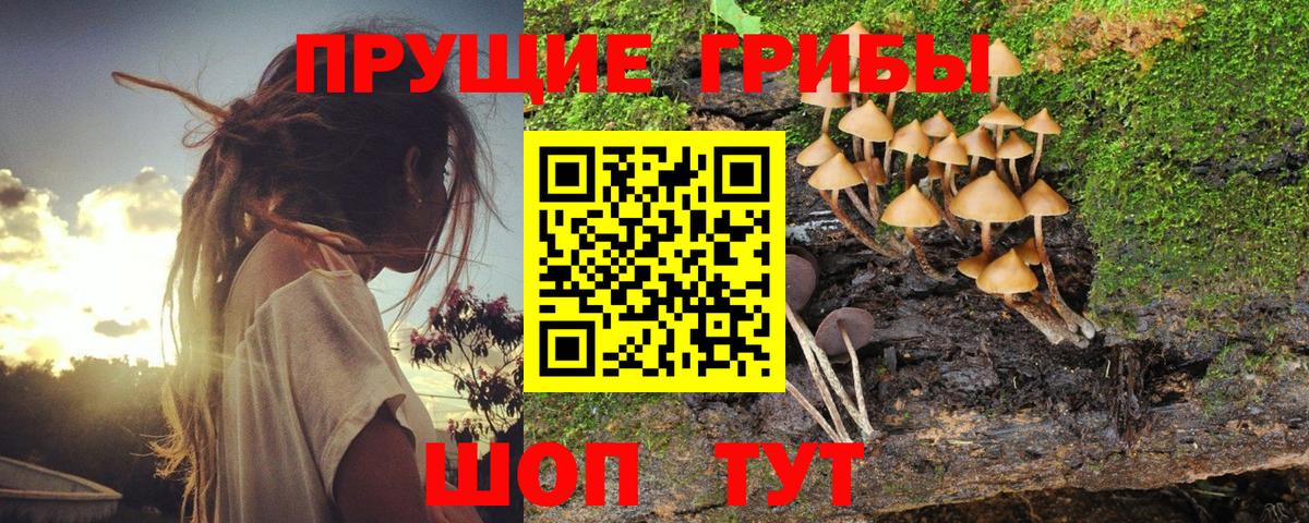 магазин продажи   Псилоцибиновые грибы ЛСД  Вход с VPN  Псилоцибиновые грибы GOLDEN TEACHER  Абинск 
